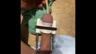 Penis stretcher