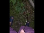 Preview 5 of Pissing on my neighbors fence I hope hope the milf next door catches me public outdoor marking