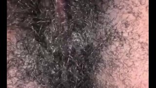 Welcome to Hairyland