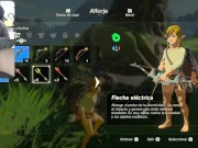 Preview 2 of THE LEGEND OF ZELDA BREATH OF THE WILD NUDE EDITION COCK CAM GAMEPLAY #9