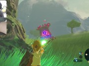 Preview 5 of THE LEGEND OF ZELDA BREATH OF THE WILD NUDE EDITION COCK CAM GAMEPLAY #9