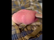 Preview 2 of Fucking my cock with a 16MM metal sound