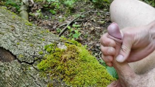 masturbation in the forest on a log