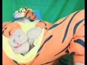 Preview 4 of Cosplay girl•Tiger wet and Wild• Babe Squirts•Pinay•Dildo•Nagsarili
