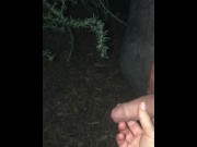 Preview 2 of Out for a late night walk together and she helps me piss by pulling my foreskin back for me