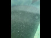 Preview 3 of Underwater titties