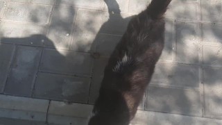Fed a stray cat in Uryupinsk