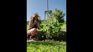 Milf Playing, Squirting and Orgasming in vegetable garden with Vegetables!