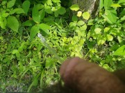 Preview 3 of pissing in the great outdoors pov