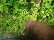 Preview 6 of pissing in the great outdoors pov