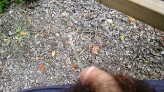 Pissing in the grass in my backyard