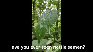 Nature is cumming - Nettle semen - Jizzy joke