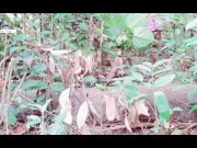 Preview 1 of කොටයක් උඩ බණ්ඩක්ක ගහන සෙවල හුත්ත Sri Lankan girl jungle outdoor sinhala clear voice