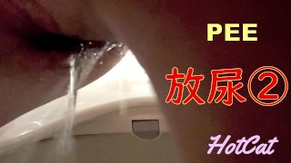 6 scenes × peeing Japan amateur personal photography