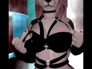 Preview 2 of Sexy furry girl strip tease in the shower and dancing (VRchat VR Vtuber)
