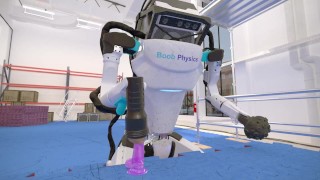 Famous dancing robot jerks off