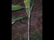 Preview 1 of Pissing In The Corn 《4k》
