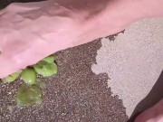 Preview 4 of FEET: Stomping on the Grape. Entire video available onlyfans/eileenwournousx