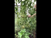 Preview 2 of boy jerks off his dick in the garden