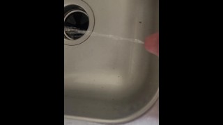 Desperate piss in kitchen sink