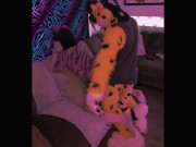 Preview 1 of Humping Wuffles into the Couch