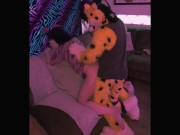 Preview 6 of Humping Wuffles into the Couch