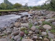 Preview 4 of Se lo chupo a un desconocido al lado del río y nos vieron