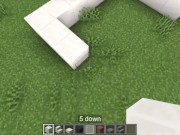 Preview 2 of How to build aHouse in Minecraft