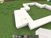 Preview 3 of How to build aHouse in Minecraft