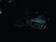 Preview 2 of THE BAD WOLF IS HERE | HMV/PMV [Arckom]