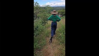 the farmer fucks me betwen his coffe trees in colombia