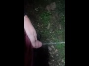 Preview 1 of Pissing backyard