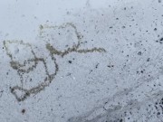 Preview 5 of Amateur Brian public peeing pissing spelling his name in the snow