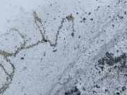 Preview 6 of Amateur Brian public peeing pissing spelling his name in the snow