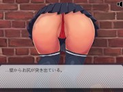 Preview 5 of [#02 Hentai Game Niku Asobi(Kabe Shiri SGL game) Play video]