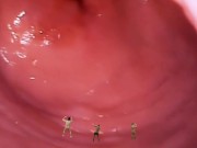 Preview 5 of Giantess pussy endoscopy and micro man