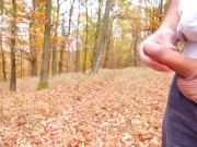Preview 1 of Two massive cumshots in the forest, what a huge semen stream