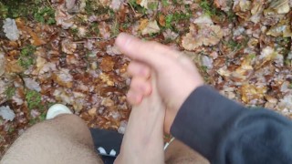 Teenboy peeing in the Woods and stroking his huge Cock