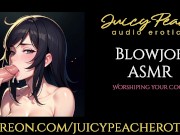 Preview 3 of Blowjob ASMR~Intense Cock Worship