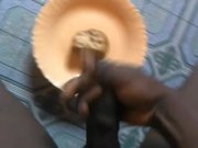 Preview 1 of BBC EBONY CUMMING ON BREAD BEFORE EATING