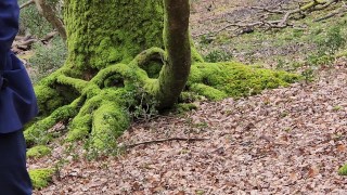 Pissing outdoors in a forest