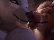 Preview 1 of Darryl X Edelie - Furry Porn Animation