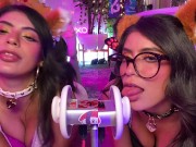 Preview 5 of Duo Cats Layered Biaural Ear Licks Meow ARA ARA - CorneliustheCat ASMR