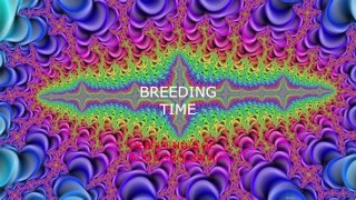 DIRTY BREEDING WHORE GETS IMPREGENATED AND CREAMPIED DEEP / DADDY DOM EROTICA