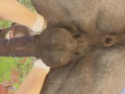 Preview 2 of Big Stallion Horse Orgasm w/ Twink Boy Max (Furry Gay Sex) | Wild Life Furries