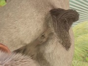 Preview 3 of Big Stallion Horse Orgasm w/ Twink Boy Max (Furry Gay Sex) | Wild Life Furries