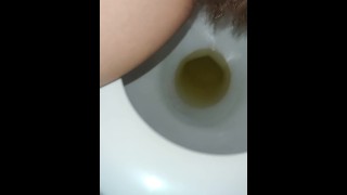 Shameless hairy MILF films herself pissing in the toilet