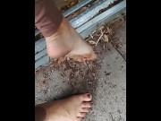 Preview 5 of Feet, Foot Fetish, Outside, Crunchy Leaves, Dirty Feet!